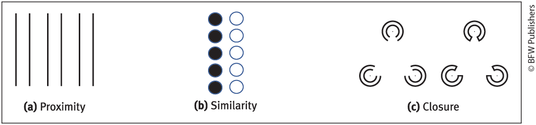 <p>tendency to organize stimuli into groups</p><ol><li><p>Proximity</p></li><li><p>Similarity</p></li><li><p>Closure</p></li></ol><p></p>