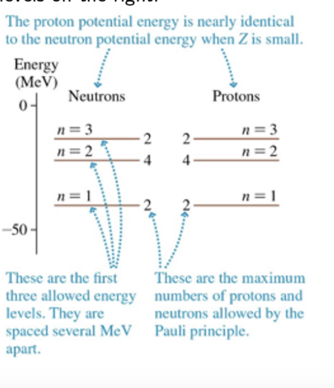 <ul><li><p>The shell model </p></li></ul><p></p>