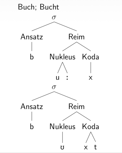 <p>Konstituenten der Silbe</p>