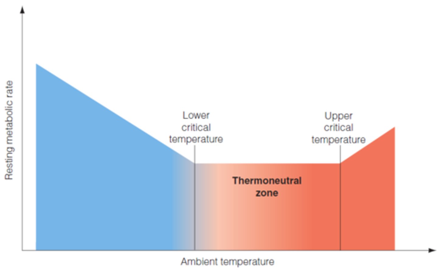 <p>range of environmental temperatures within which the metabolic rates are minimal</p><p>- outside of this zone, past the critical high and low temps, metabolic rate increases</p>