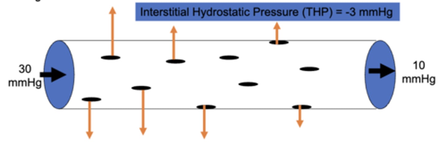<p>-3; this means the tissue is hydrostatically sucking water out of the plasma</p>