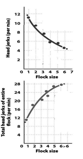  In the European goldfinch results on the right, decreasing flock size means ______ time spent on defense by each bird, and _____ effective defense for the group as a whole. 

A. Less; less 

B. Less; more 

C. More; less 

D. More; more 