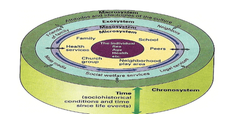 consists of the microsystems, mesosystems, macrosystems, exosystems, chronosystems