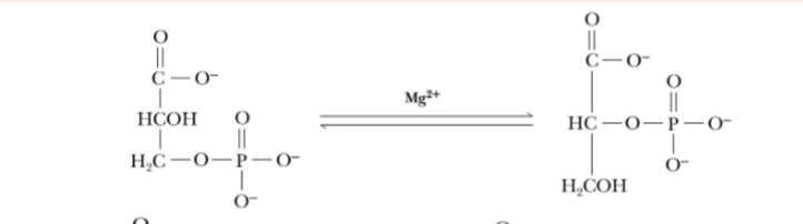 <p>What step is this and what are the products and reactants</p>