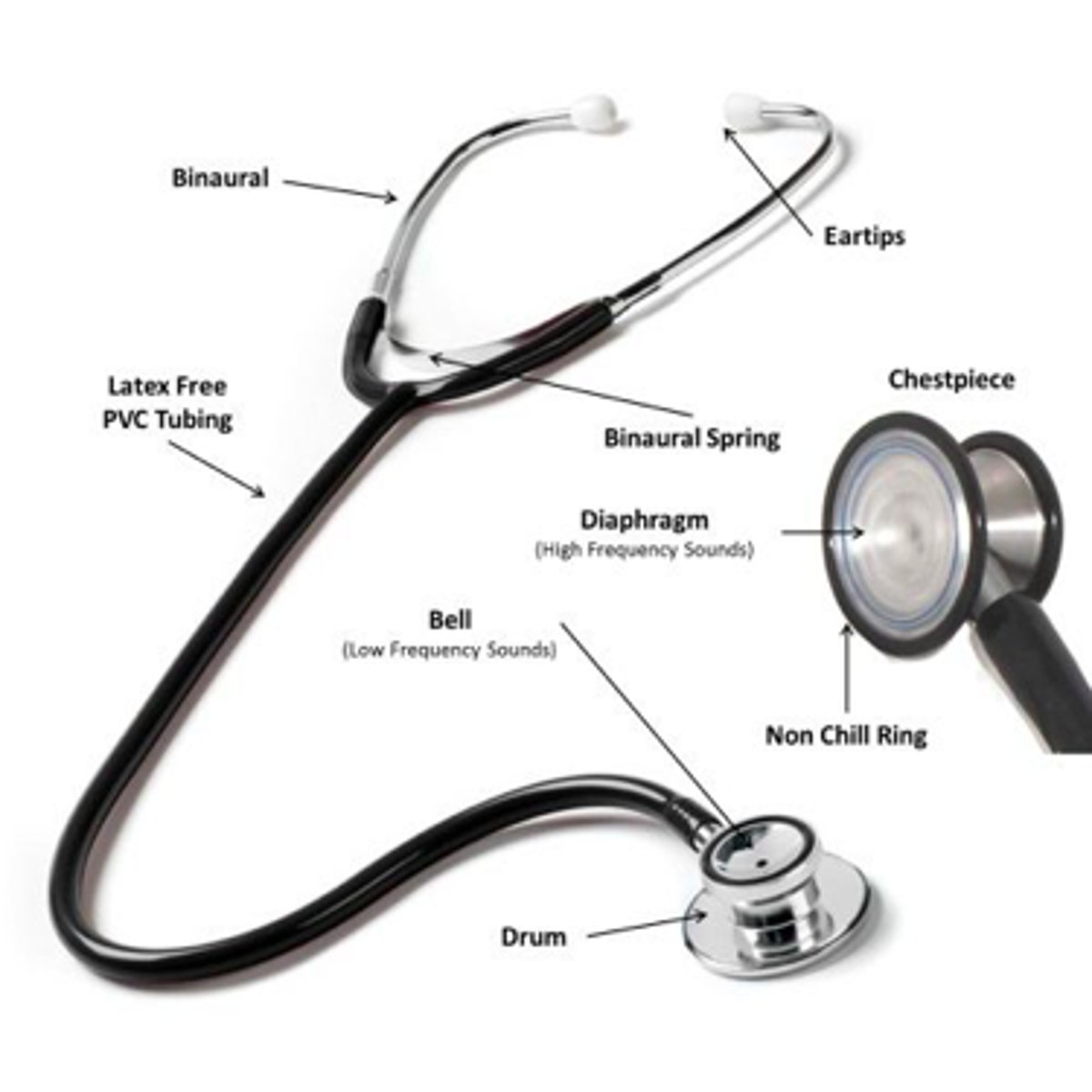 <p>ear tips, ear tubes, tubing, diaphragm, (big part), and bell (small part)</p>