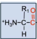 What makes up a residue?