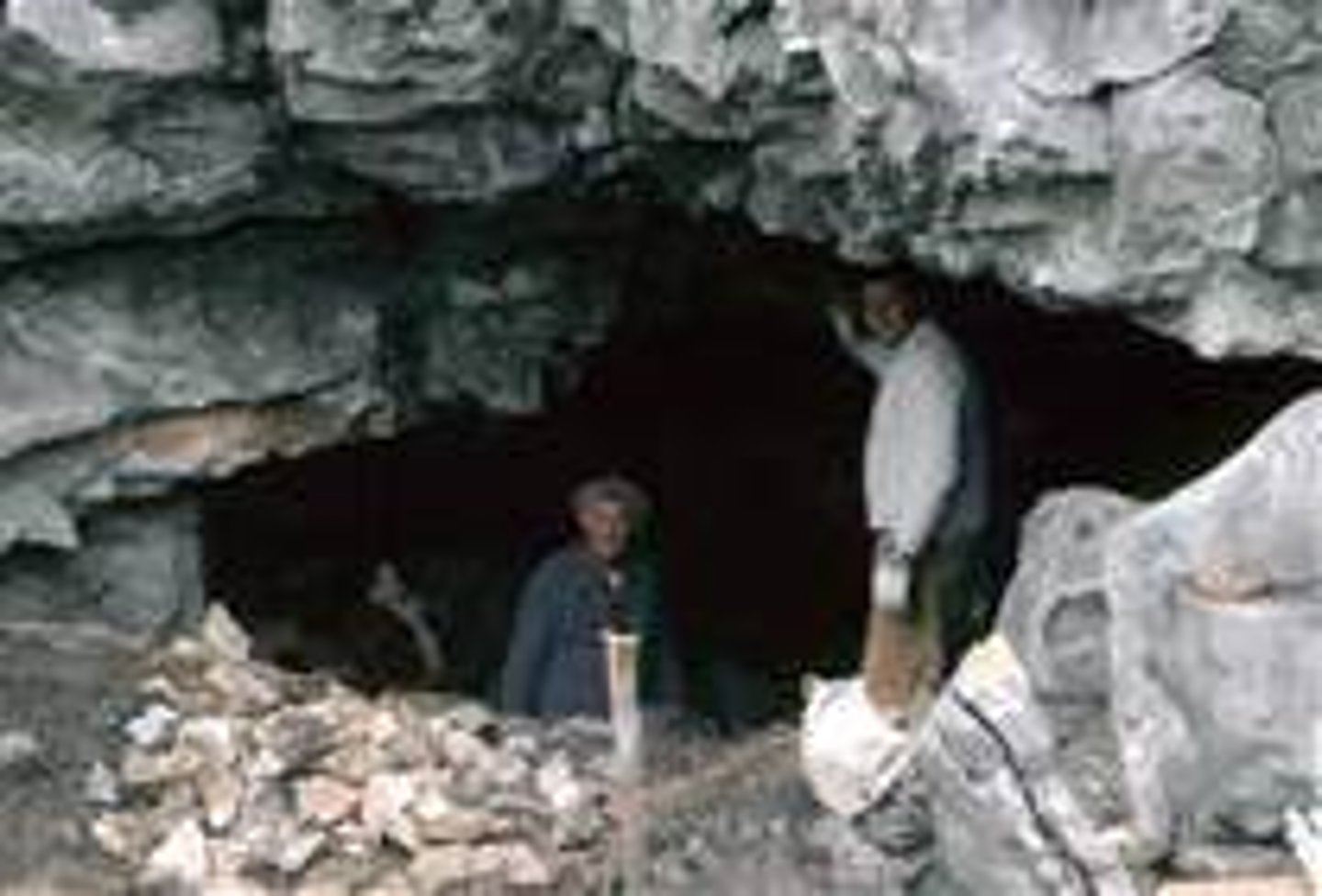 <p>s/he used to like to explore (PAST TENSE)</p>
