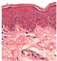 <p>What is this?</p>