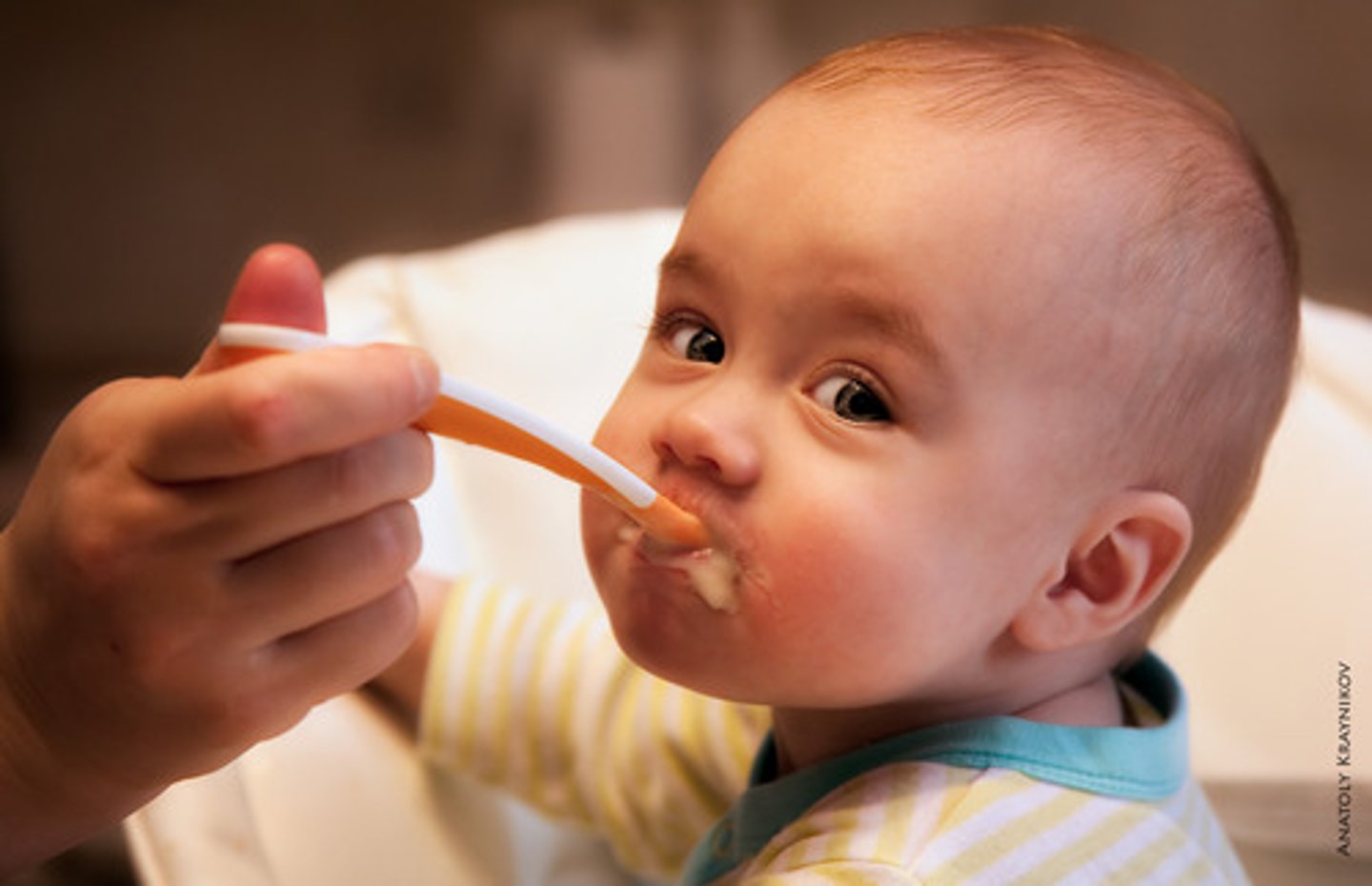 <p>makan</p>