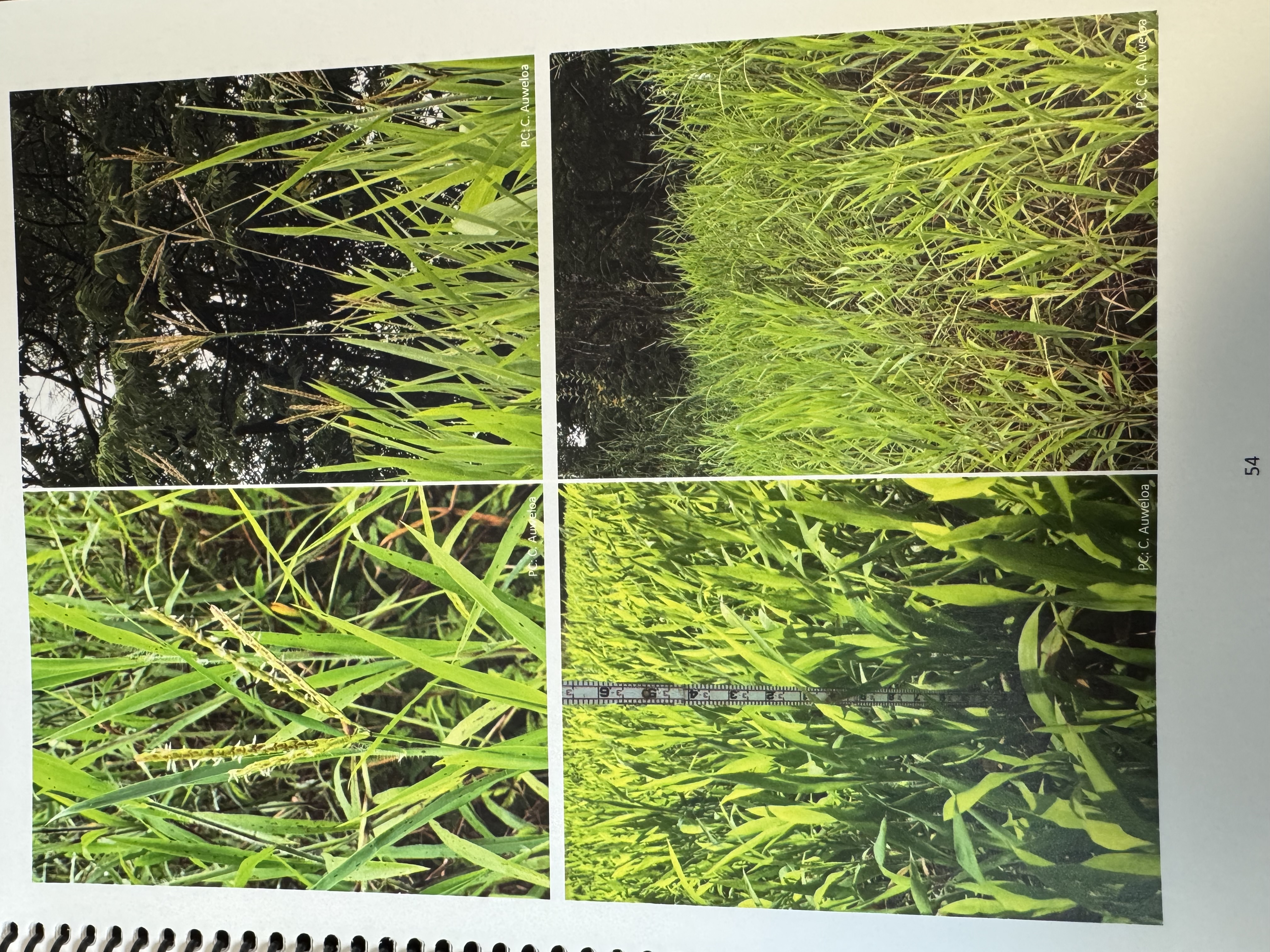 <img src="blob:null/d1c10375-5f11-49de-b5b7-72058b86e8d4"><p></p>