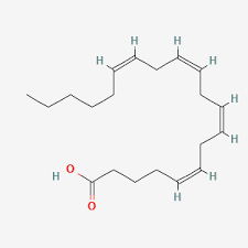 <ul><li><p>unsaturated </p></li><li><p>20:4 </p></li><li><p>omega 6</p></li></ul>