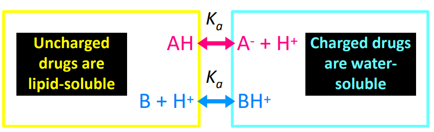 <p>——- is the pH at which 50% of the drug is ionized.</p>