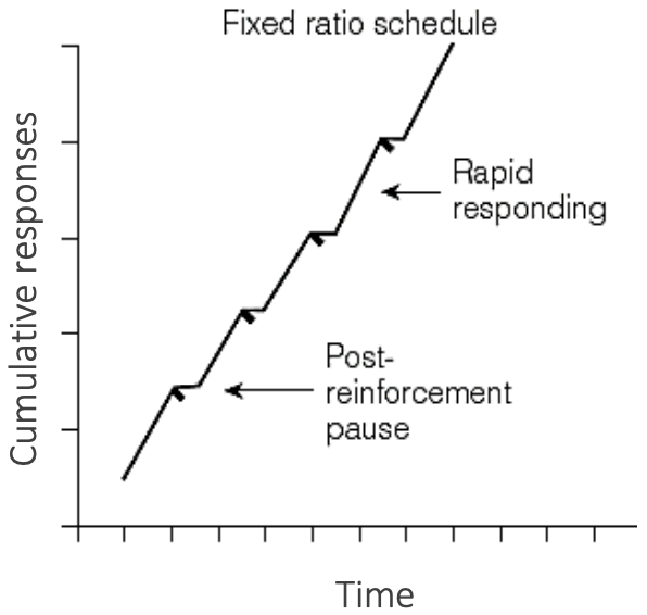 Responses to FR Schedules 