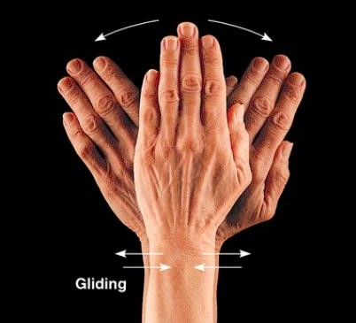 <p>move back and forth; side to side</p>