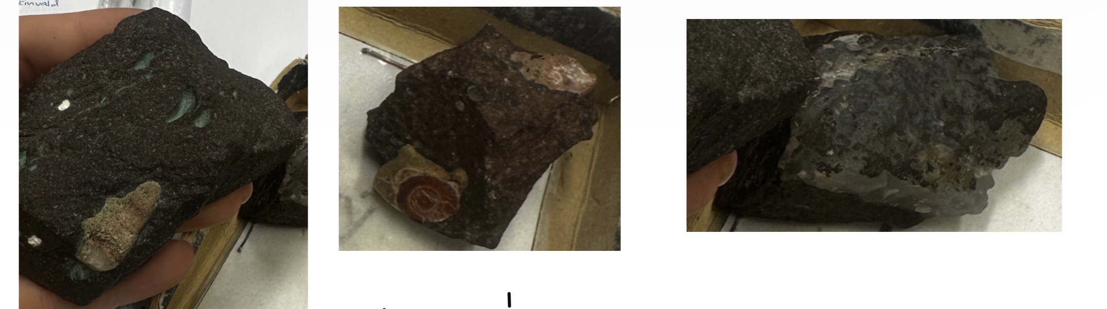term image