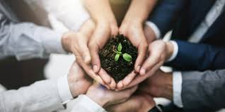 <p><span>climate change, resource depletion, biodiversity loss, pollution, and social inequalities, highlighting the need for responsible product</span></p>