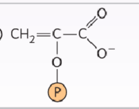 <p>What structure is this?</p>