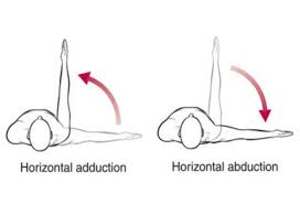 <p>Humeral horizontal abduction</p><p></p>