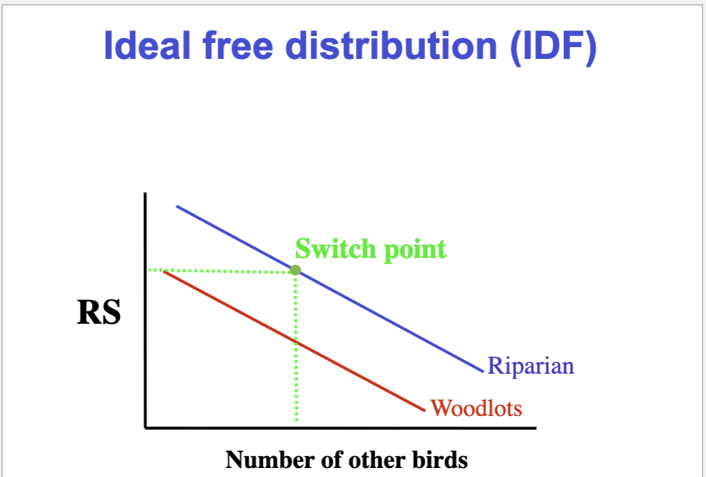 <p>There is a switch point (fitness payoff is the same)</p>