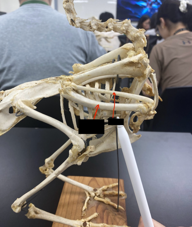 <p>What parts is this&nbsp;</p>