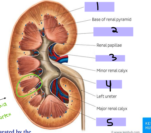 <p>#4</p>