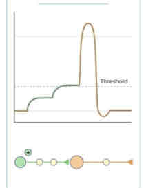 <p>This Diagram Shows _______</p>