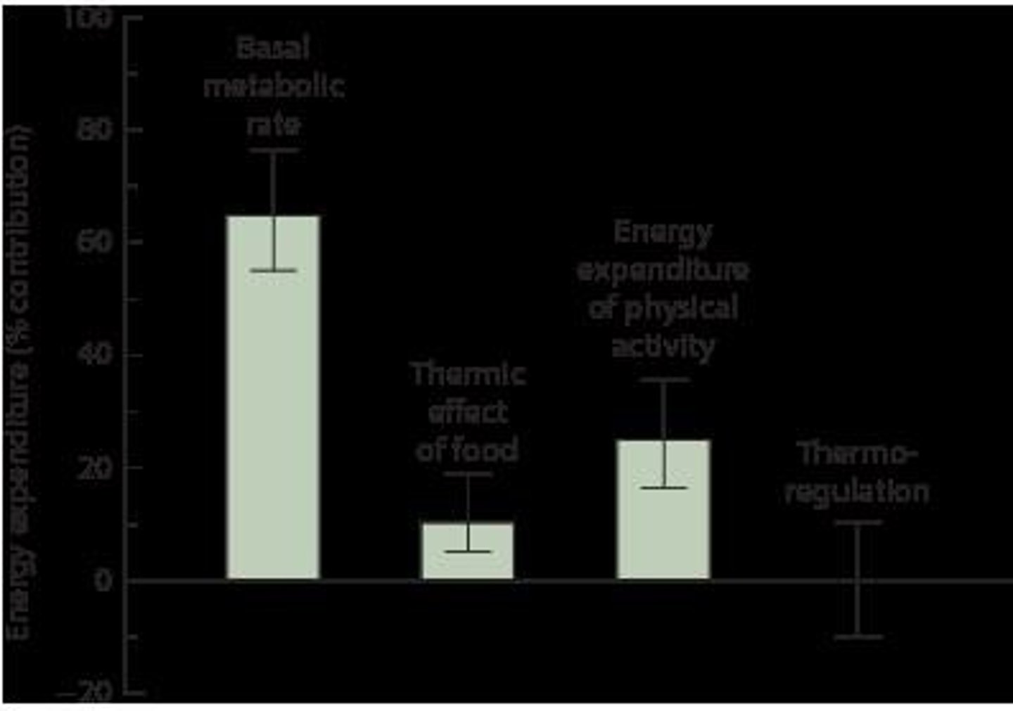 <p>Basal metabolic rate, physical activity, thermic effect of food, and thermoregulation.</p>