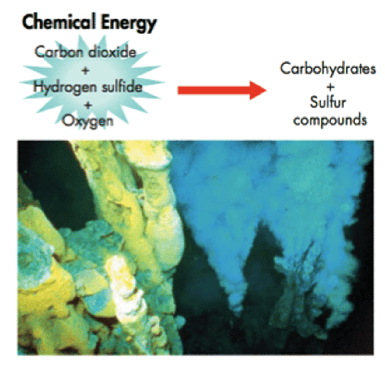 <p>process by which ATP is synthesized by using chemicals as an energy source instead of light</p>