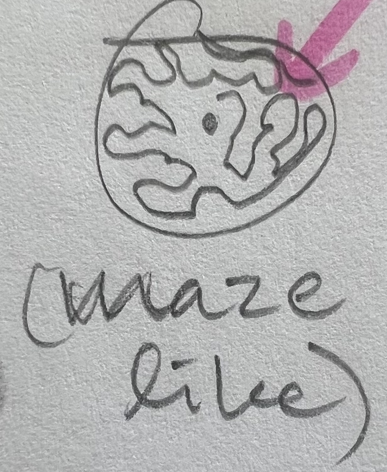 knowt flashcard image