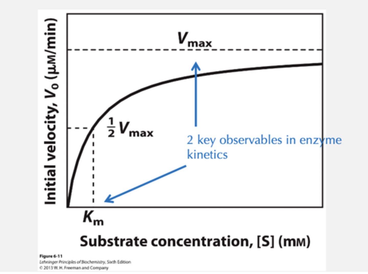 <p>Plot initial rate against substrate</p><p>concentration</p>