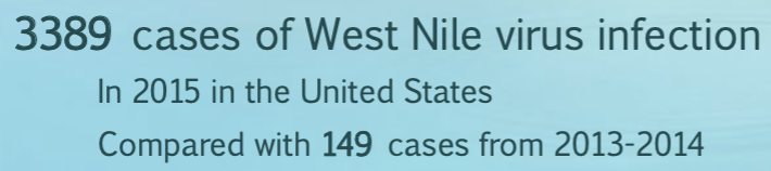 <p>Is the following data of the Nile Virus considered an outbreak?</p>