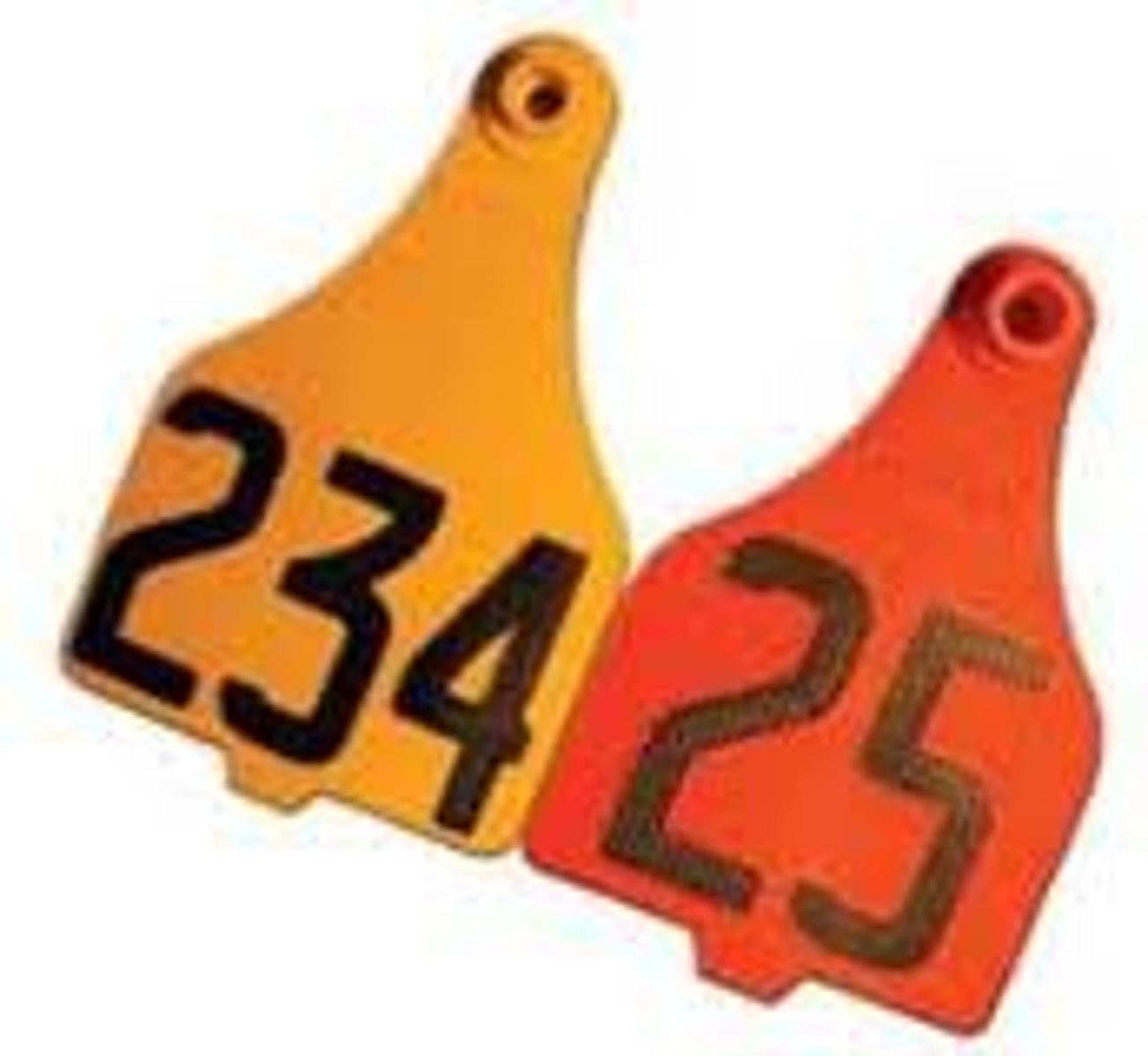 <p>used to identify livestock</p>