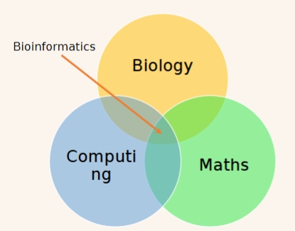 <p>The science of collecting and analysing complex biological data</p><p>• Interdisciplinary</p><p>• Derive biological insight from data:</p><p>• Sequence data</p><p>• Numerical data</p><p>• Image data</p>