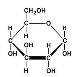 <p>An example of a monosaccharide with the chemical formula C6H12O6 and a hexagon ring structure. It is used within cells as energy.</p>