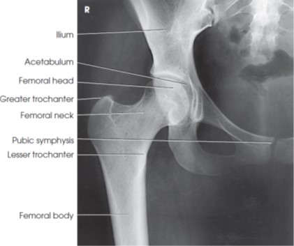 <p>What view is this?</p>