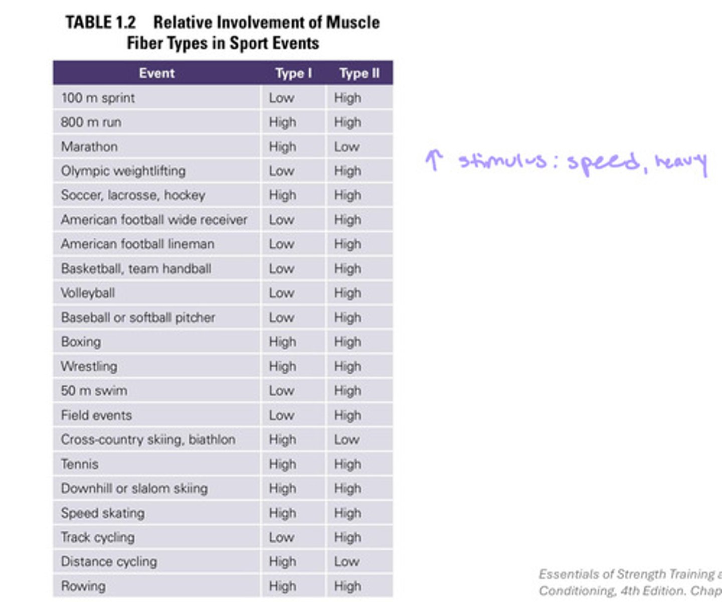 <p>type I: slow twitch</p><p>-smaller motor neuron size</p><p>-lower recruitment threshold (less stimulus needed to activate)</p><p>-slow contraction speed</p><p>-low force production</p><p>-high endurance & fatigue resistance</p><p>type IIa: fast twitch</p><p>-larger motor neuron size</p><p>-intermediate recruitment threshold (moderate stimulus needed to activate)</p><p>-fast contraction speed</p><p>-intermediate force production</p><p>-intermediate to low endurance & fatigue resistance</p><p>type IIx: fast(er) twitch</p><p>-large motor neuron size</p><p>-higher recruitment threshold</p><p>-fast contraction speed</p><p>-high force production</p><p>-low endurance & fatigue resistance (tires out fast)</p>