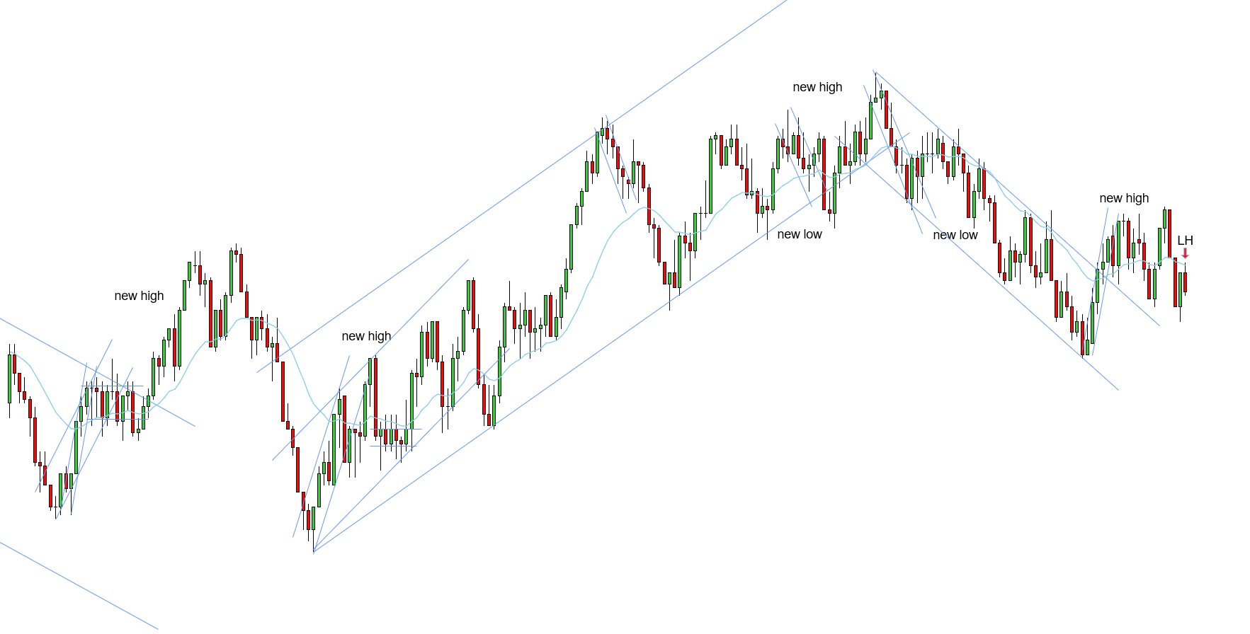 <p>LH - 11/12/2025 (2)</p>
