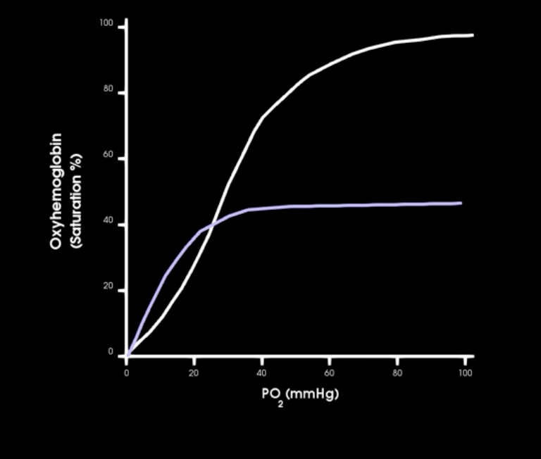 <p>how does CO affect o2-hgb sat curve </p>