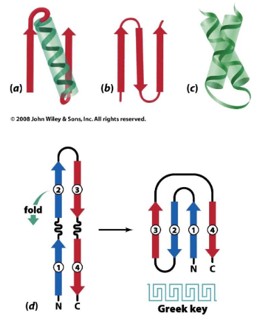 <p>Motifs</p>