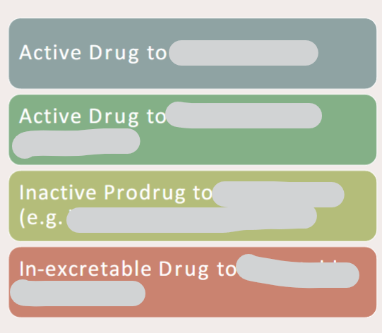 <p>In drug metabolism how can drugs be changed </p>