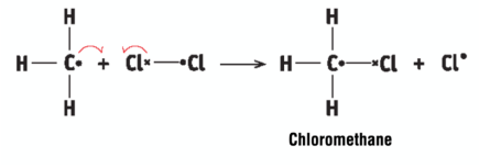 <p>a methyl free radical attacks a Cl molecule to form chloromethane and a Cl atom, a chain reaction occurs</p>