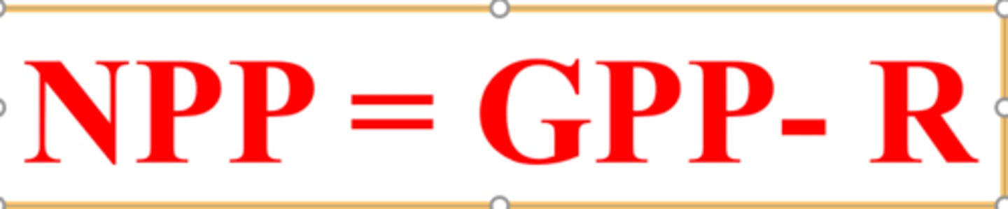 <p>The energy is available to consumers determined by subtracting the energy by plants from the total energy transformed by the process of photosynthesis.</p><p>Formulas: NPP=GPP-R GPP=NPP+R</p>