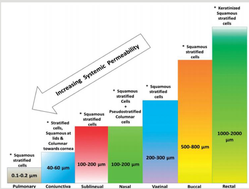 <p>Increase in systemic permeability as you go down </p>