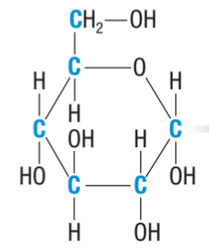 <p>What molecule is this?</p>