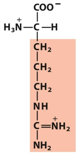 <p>Polar, positive</p>