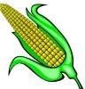 corn