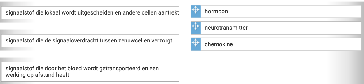 Koppel het begrip aan de uitleg