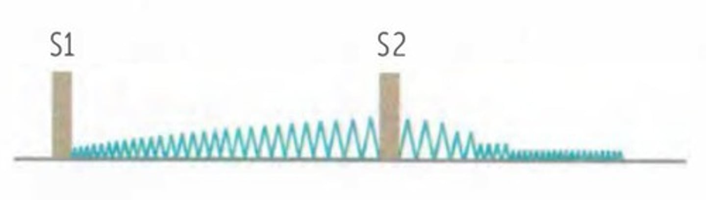 <p>CONTINUOUS</p><p>-"Machine-like"</p><p>-Loudest at *infraclavicular area*</p><p>-Loudest at S2</p><p>-Systole &amp; Diastole</p><p>Common in premature infants, especially those with RDS.</p>