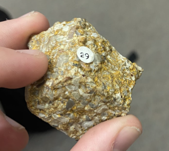 <p>Gold based, seems like bunch of little rocks Combined, <strong>Sedimentary</strong></p>