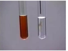 <p>• Test for presence of double or triple bonds</p><p>• Reagents used are iodine (Br2) (red color)</p><p>• Bromine adds to the double bond or triple bonds and since it is consumed the <strong>red color disappears</strong></p><p></p>